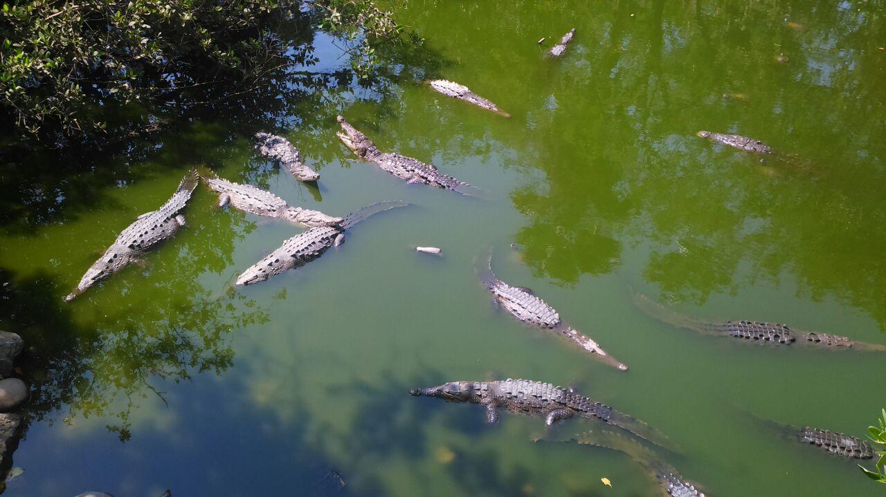 Posada Playa Linda Ixtapa  Eksteriør billede